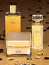 p11.gif (7705 bytes)