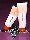 p4.gif (6006 bytes)